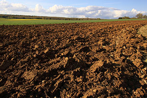 travaux agricole Lyon Rhône-Alpes